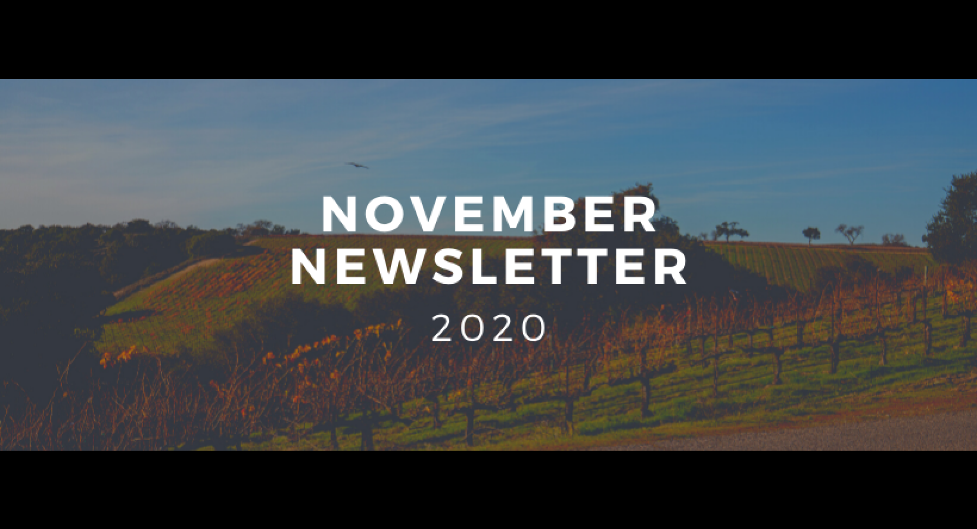 November 2020 Lompoc Healthy Happenings Newsletter