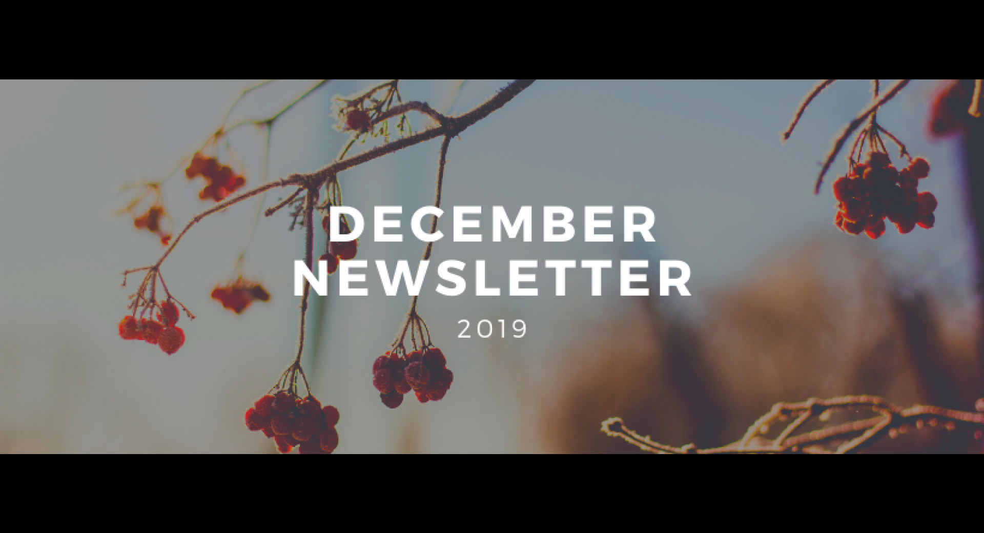 December 2019 Lompoc Healthy Happenings Newsletter