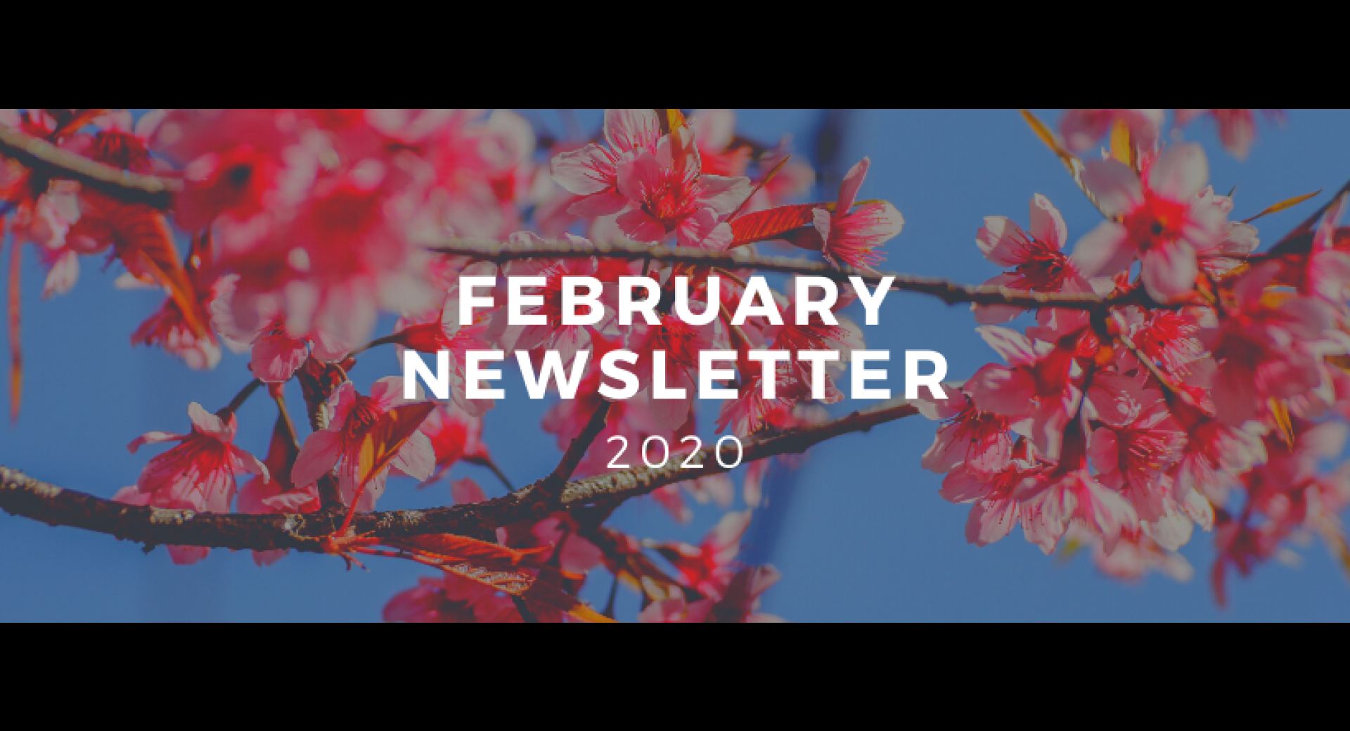 February 2020 Lompoc Healthy Happenings Newsletter