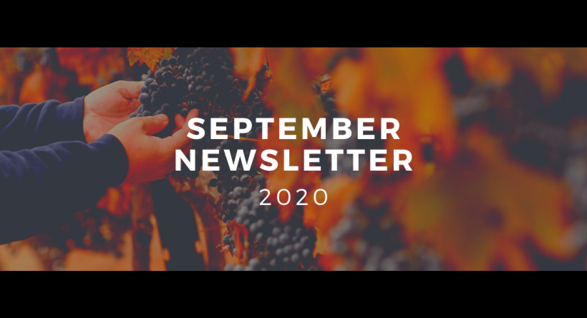 September 2020 Lompoc Healthy Happenings Newsletter