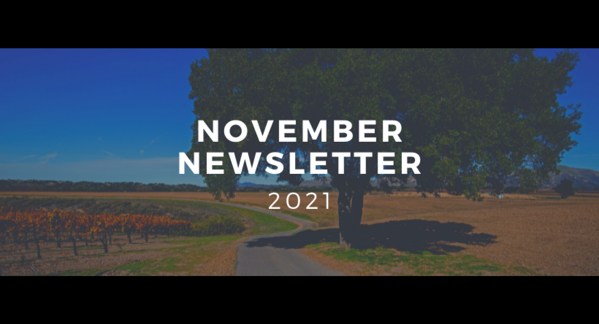 November 2021 Lompoc Healthy Happenings Newsletter