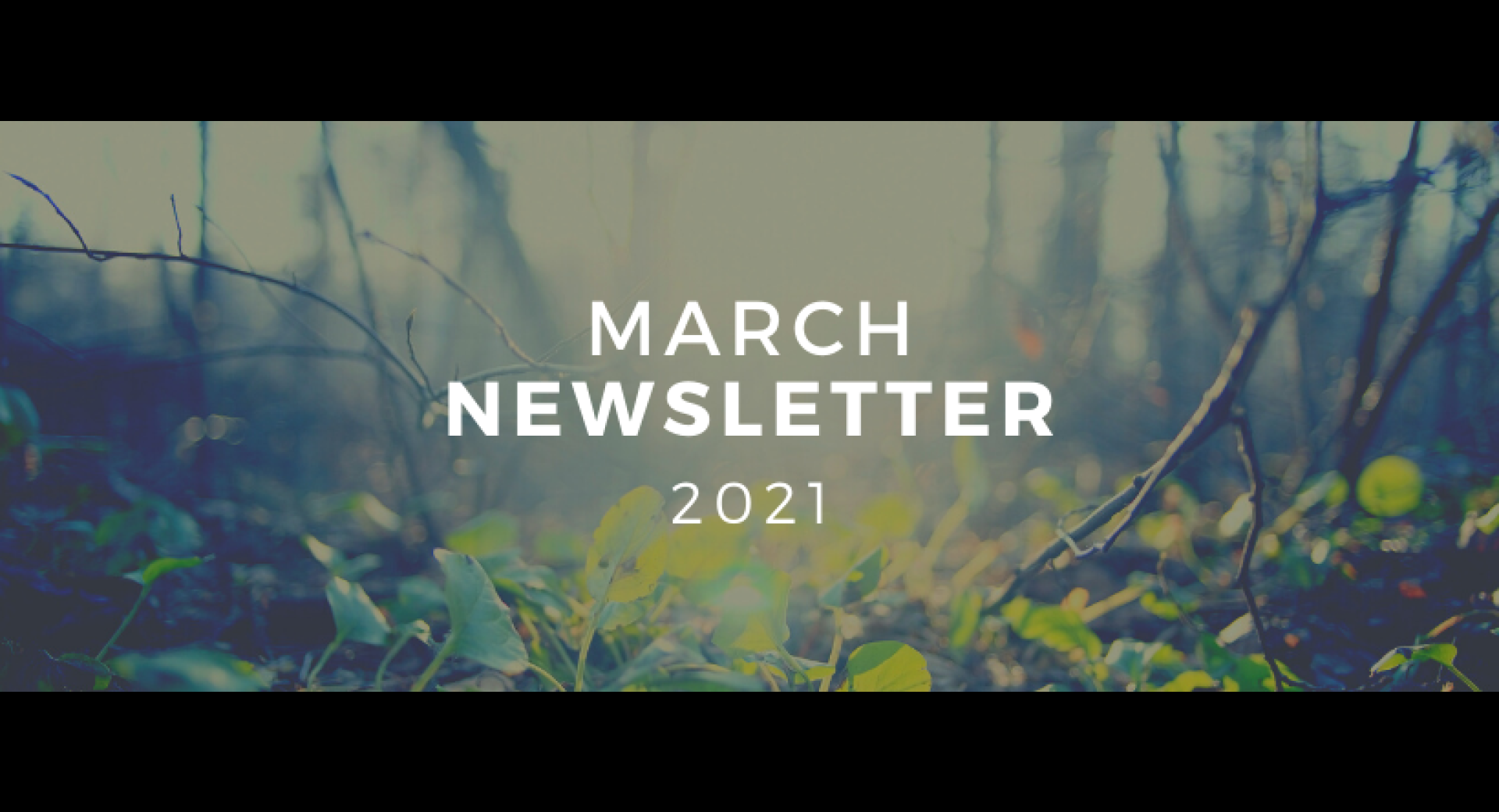 March 2021 Lompoc Healthy Happenings Newsletter