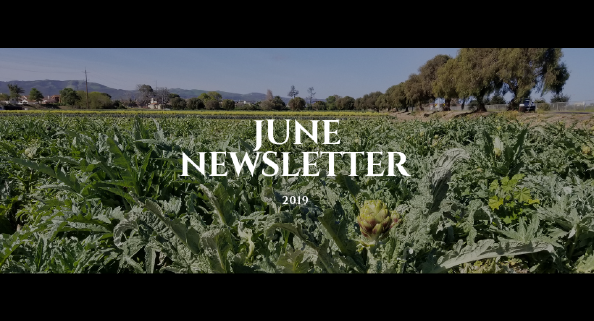June 2019 Lompoc Healthy Happenings Newsletter