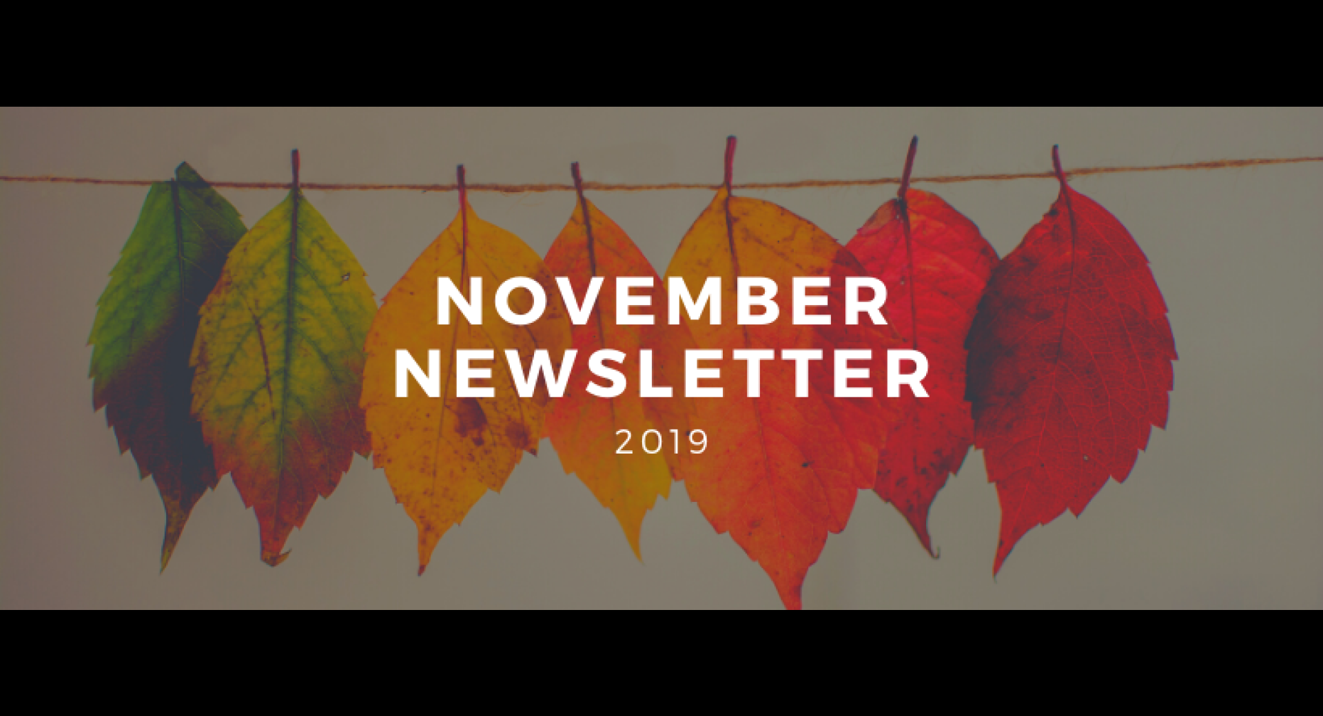 November 2019 Lompoc Healthy Happenings Newsletter