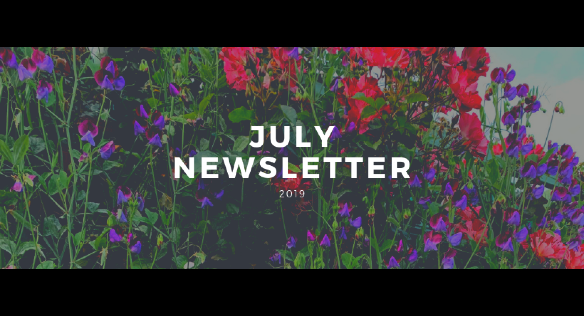 July 2019 Lompoc Healthy Happenings Newsletter