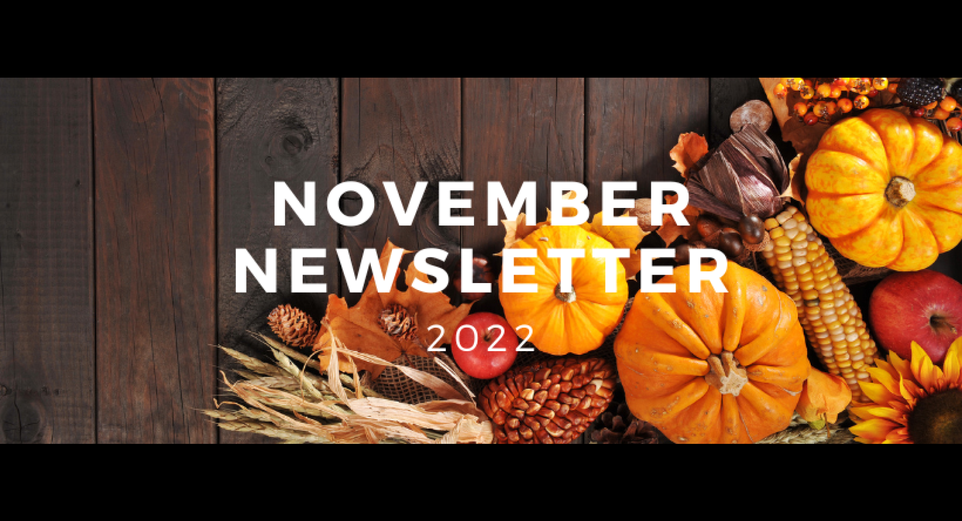 November 2022 Healthy Happening Newsletter