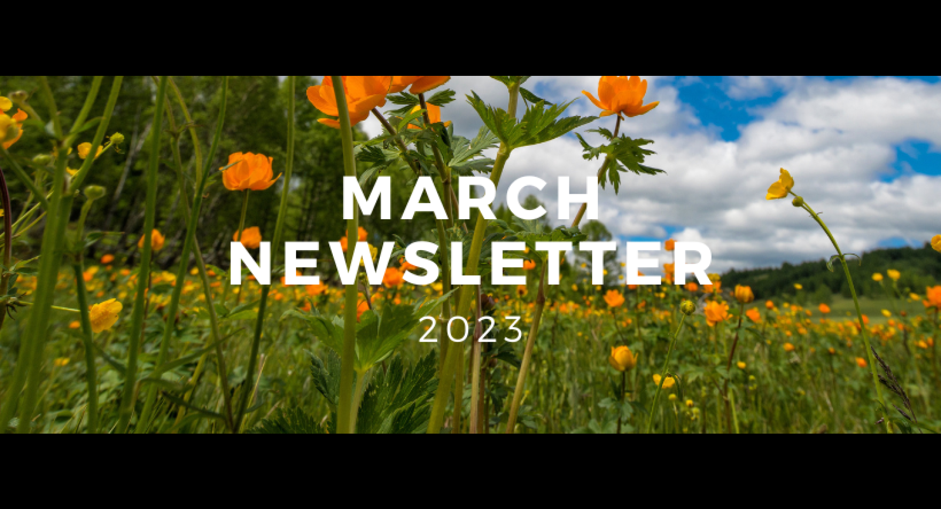 March 2023 Healthy Happenings Newsletter