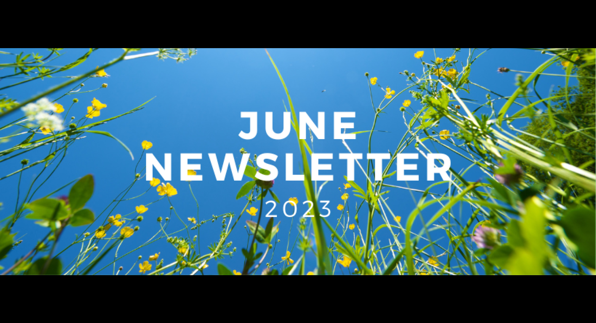 June 2023 Healthy Happenings Newsletter
