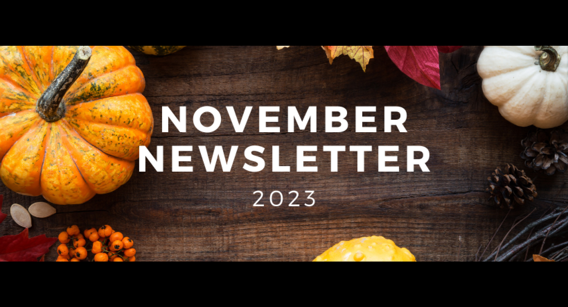 November 2023 Healthy Happenings Newsletter