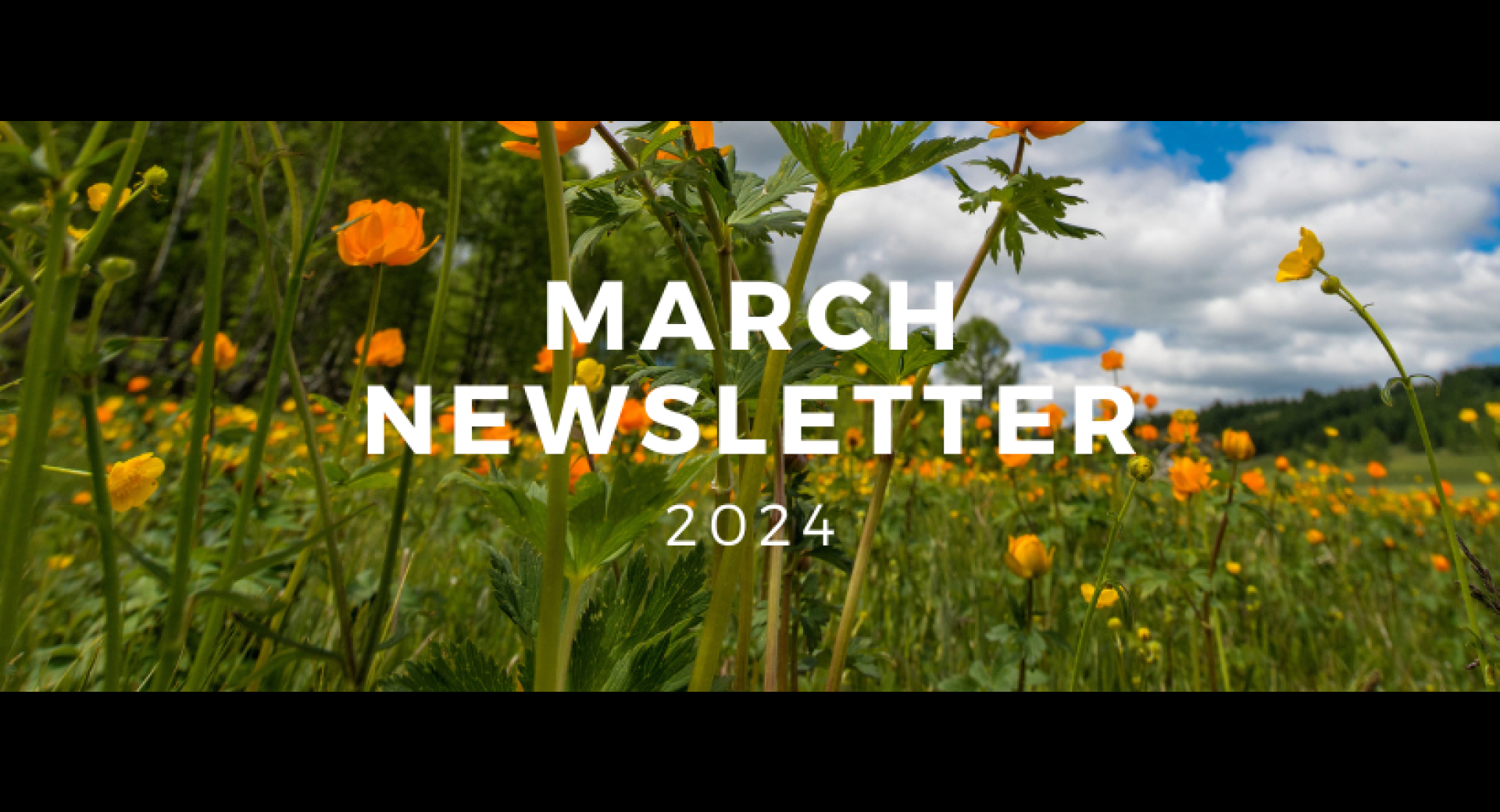 March 2024 Healthy Happenings Newsletter