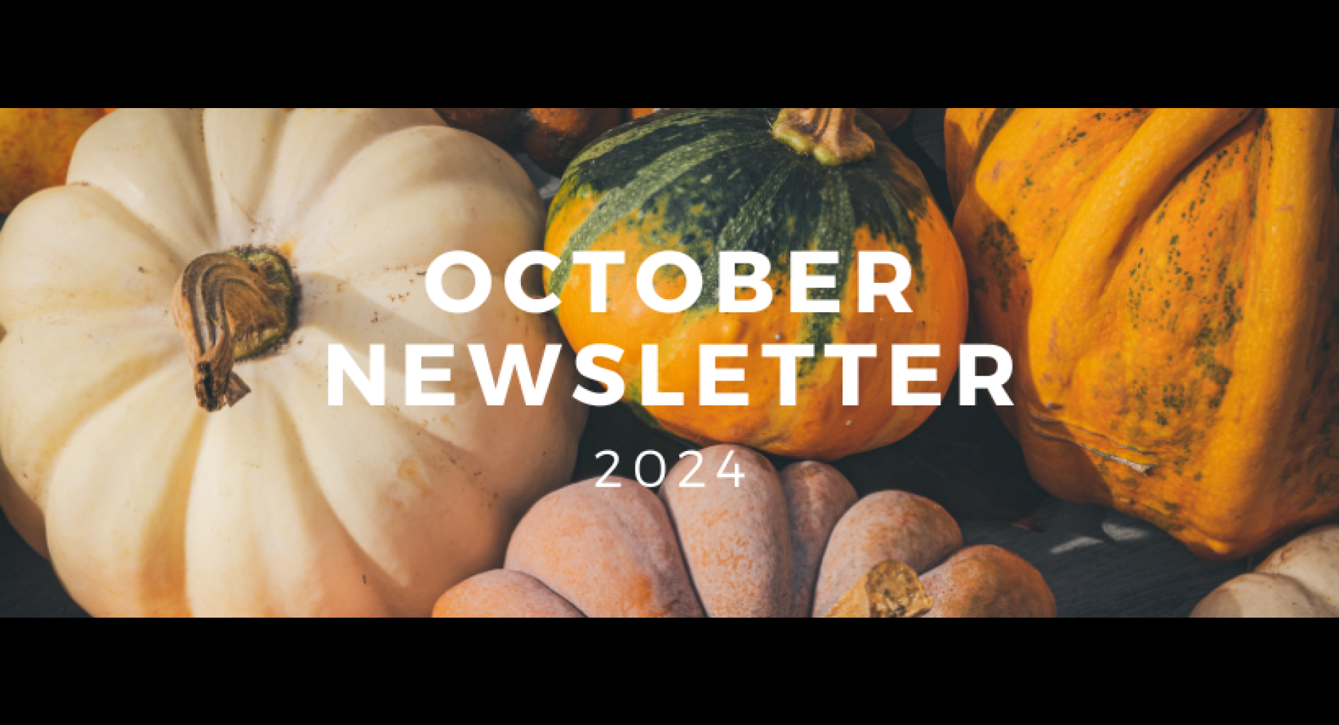 October Healthy Happenings Newsletter