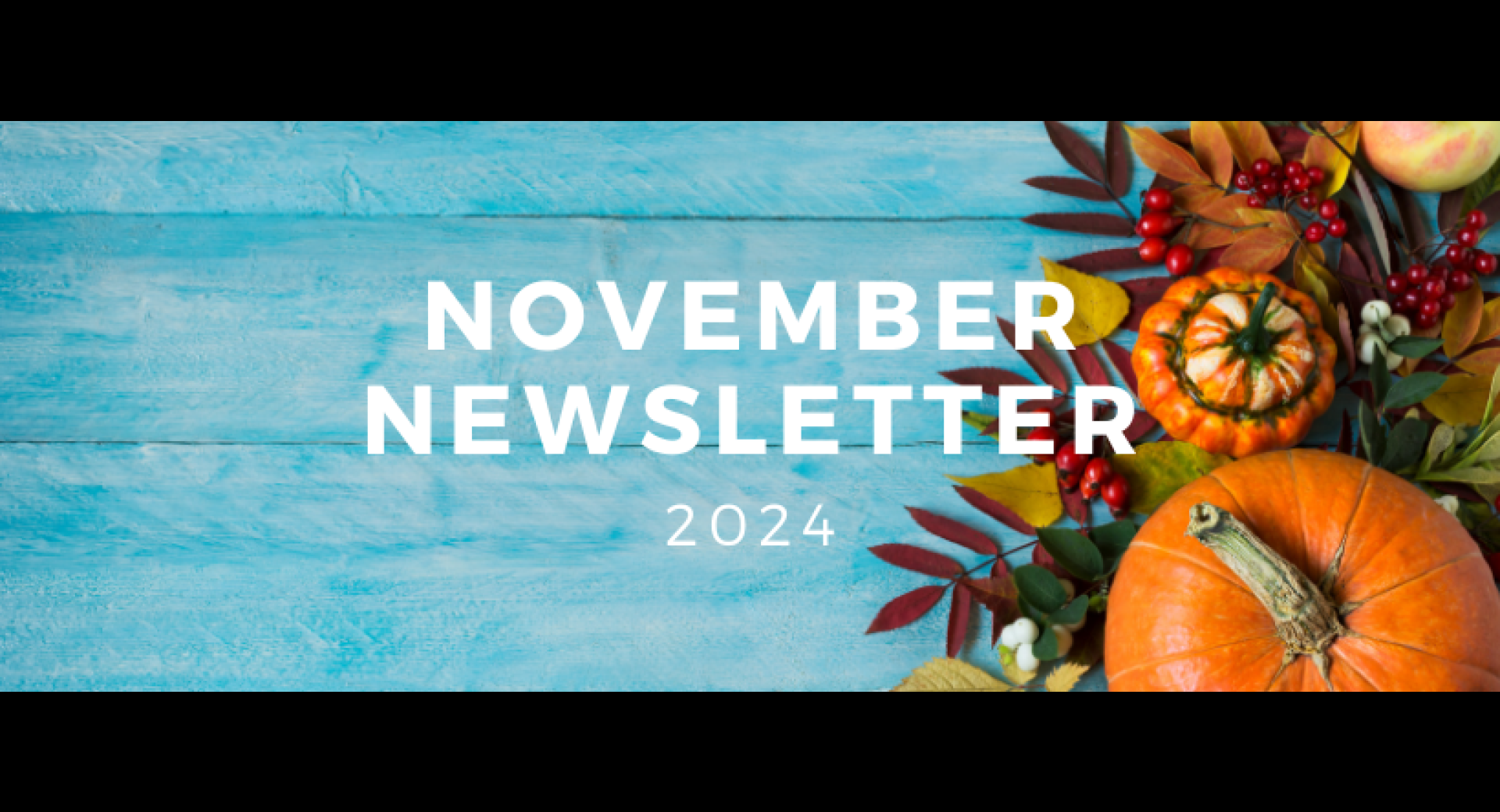 November 2024 Healthy Happenings Newsletter