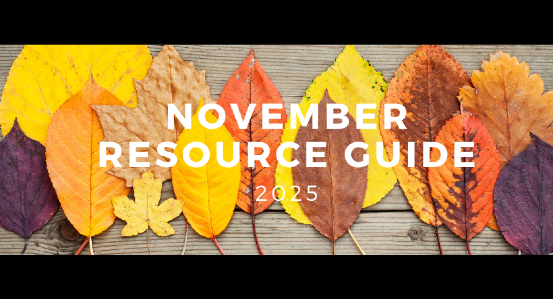 November 2025 Healthy Happenings Resource Guide