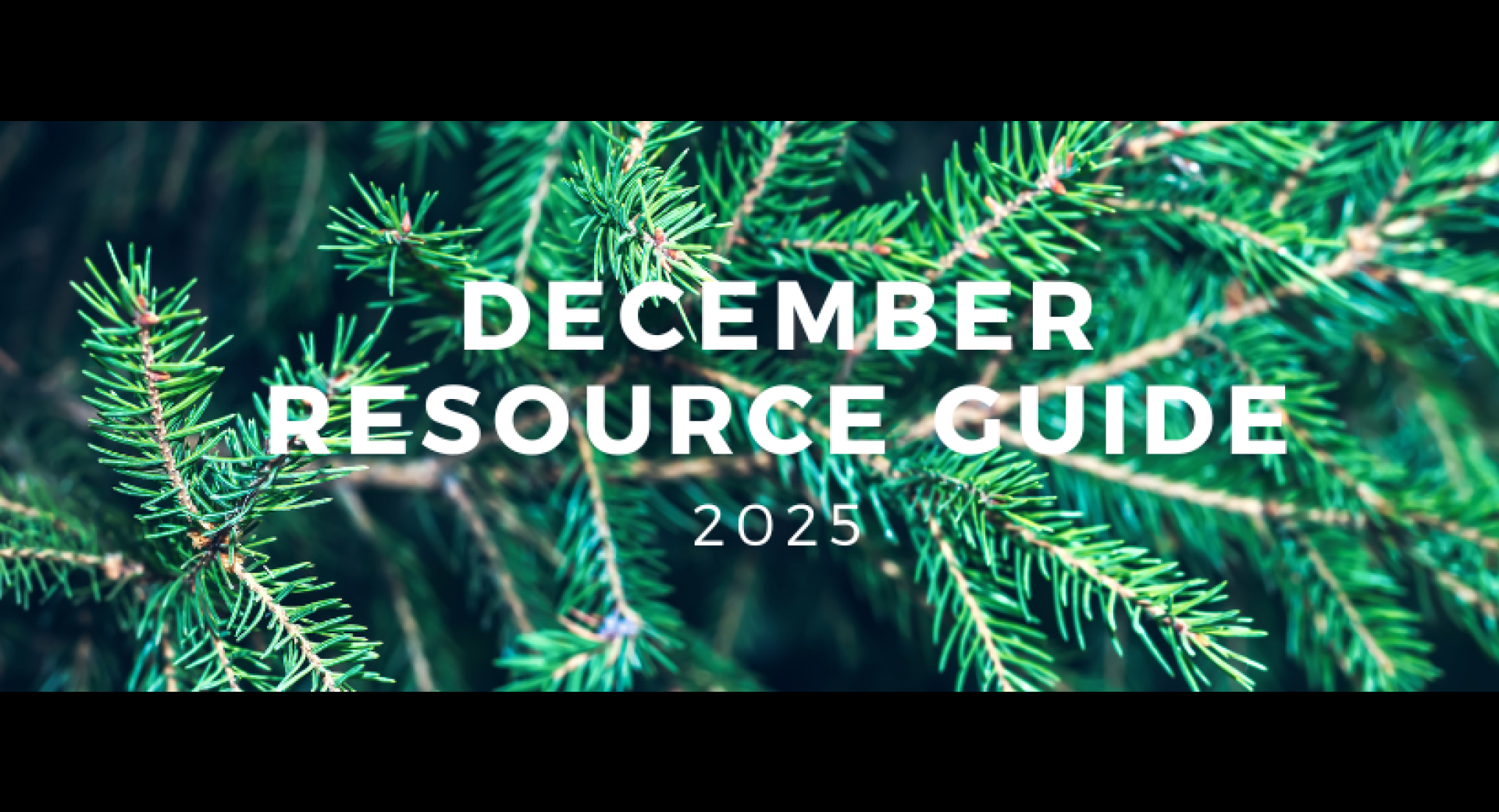 December 2025 Healthy Happenings Resource Guide