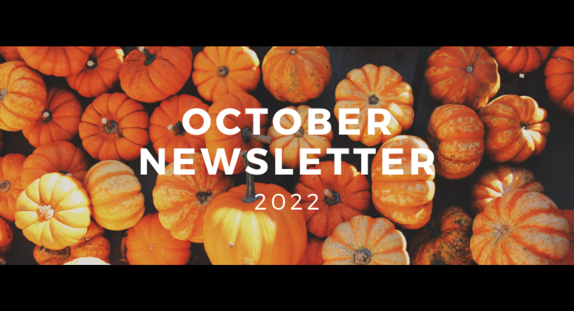 October 2022 Healthy Happenings Newsletter