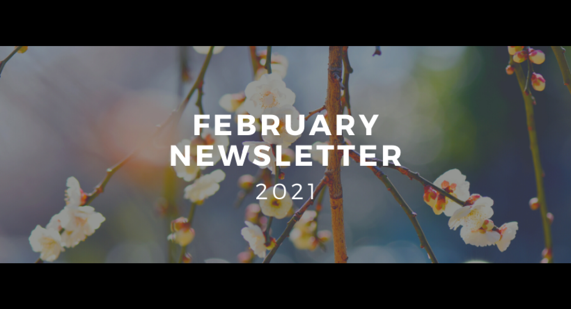 February 2021 Lompoc Healthy Happenings Newsletter