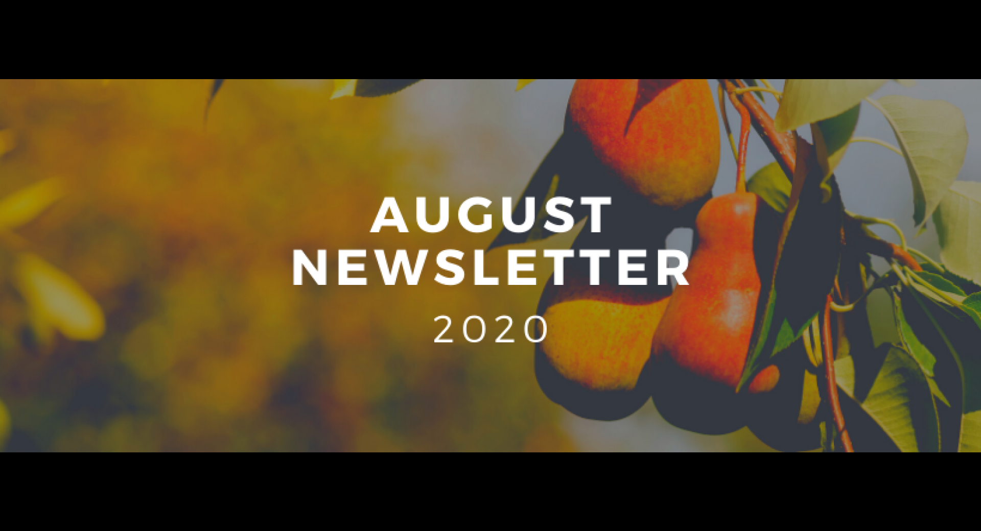 August 2020 Lompoc Healthy Happenings Newsletter