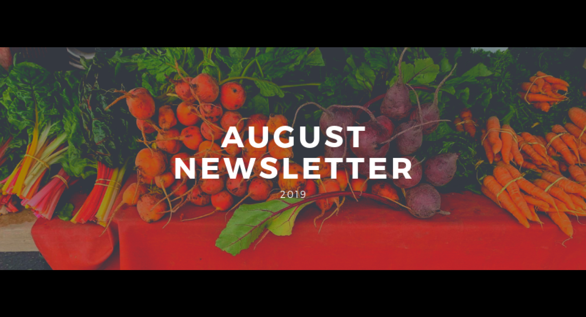 August 2019 Lompoc Healthy Happenings Newsletter